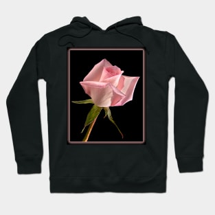 This Pink Rose Dances Hoodie